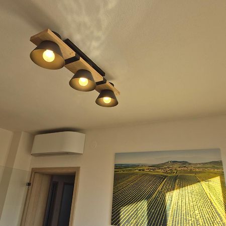 Apartman Vital Na Palave - Ubytovani & Zivotni Restart Pasohlávky Kültér fotó