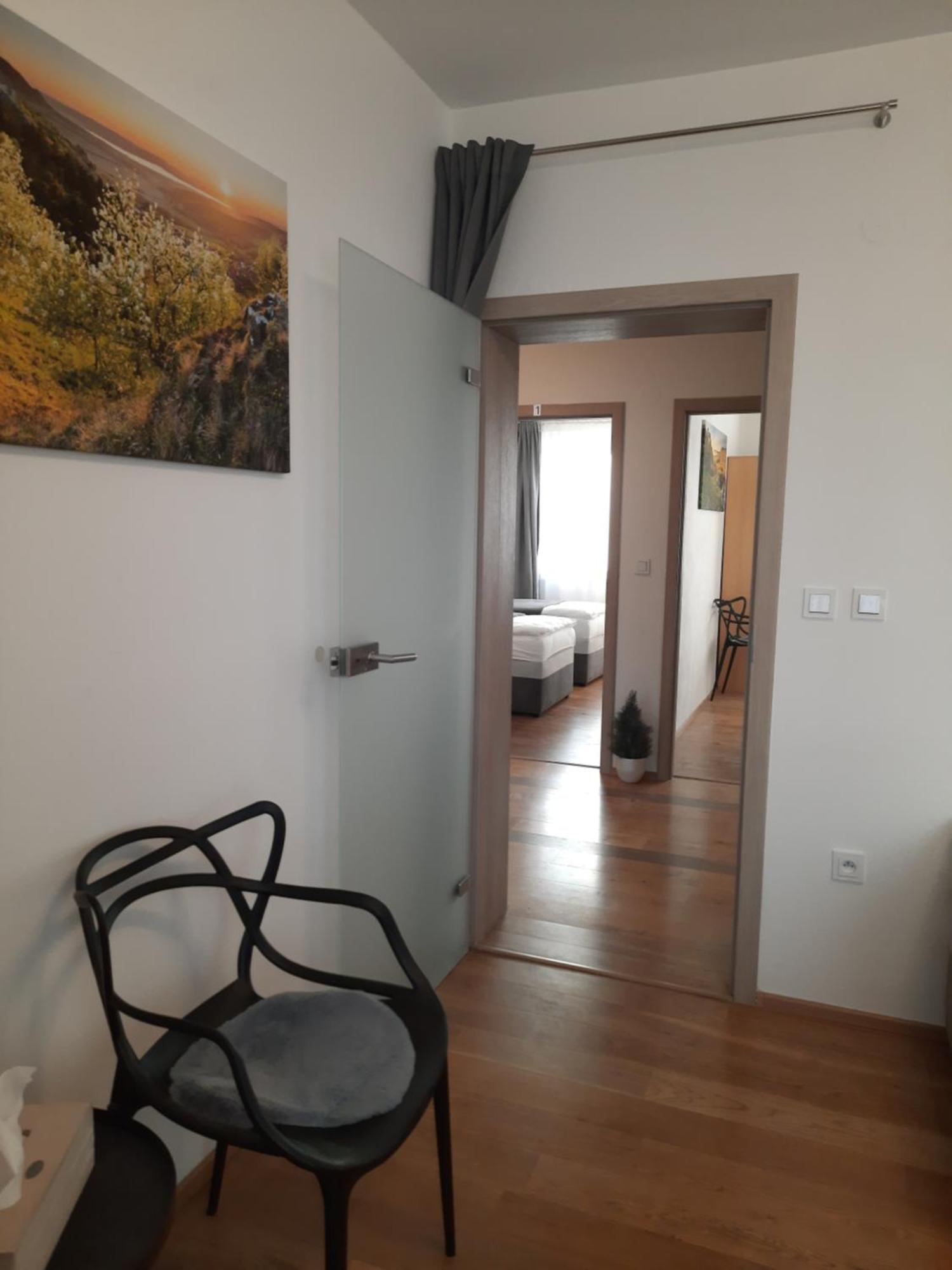 Apartman Vital Na Palave - Ubytovani & Zivotni Restart Pasohlávky Kültér fotó