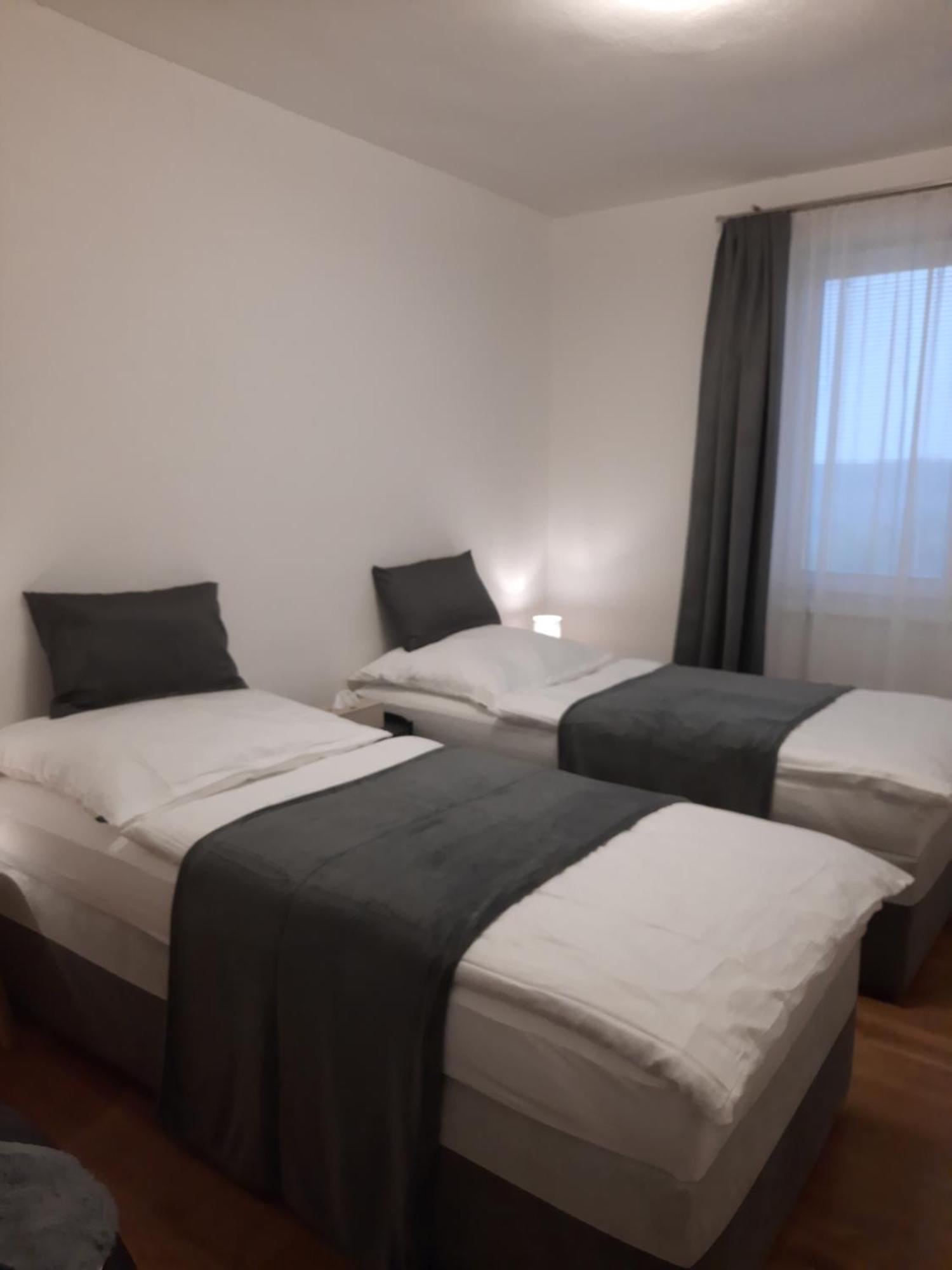 Apartman Vital Na Palave - Ubytovani & Zivotni Restart Pasohlávky Kültér fotó