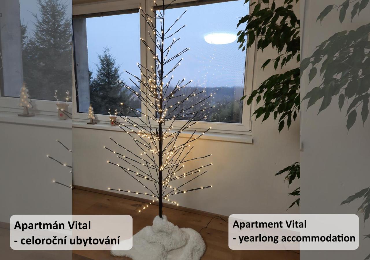 Apartman Vital Na Palave - Ubytovani & Zivotni Restart Pasohlávky Kültér fotó