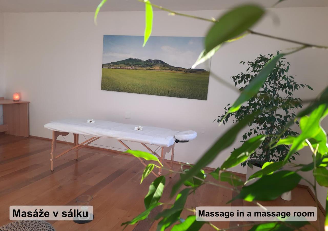 Apartman Vital Na Palave - Ubytovani & Zivotni Restart Pasohlávky Kültér fotó
