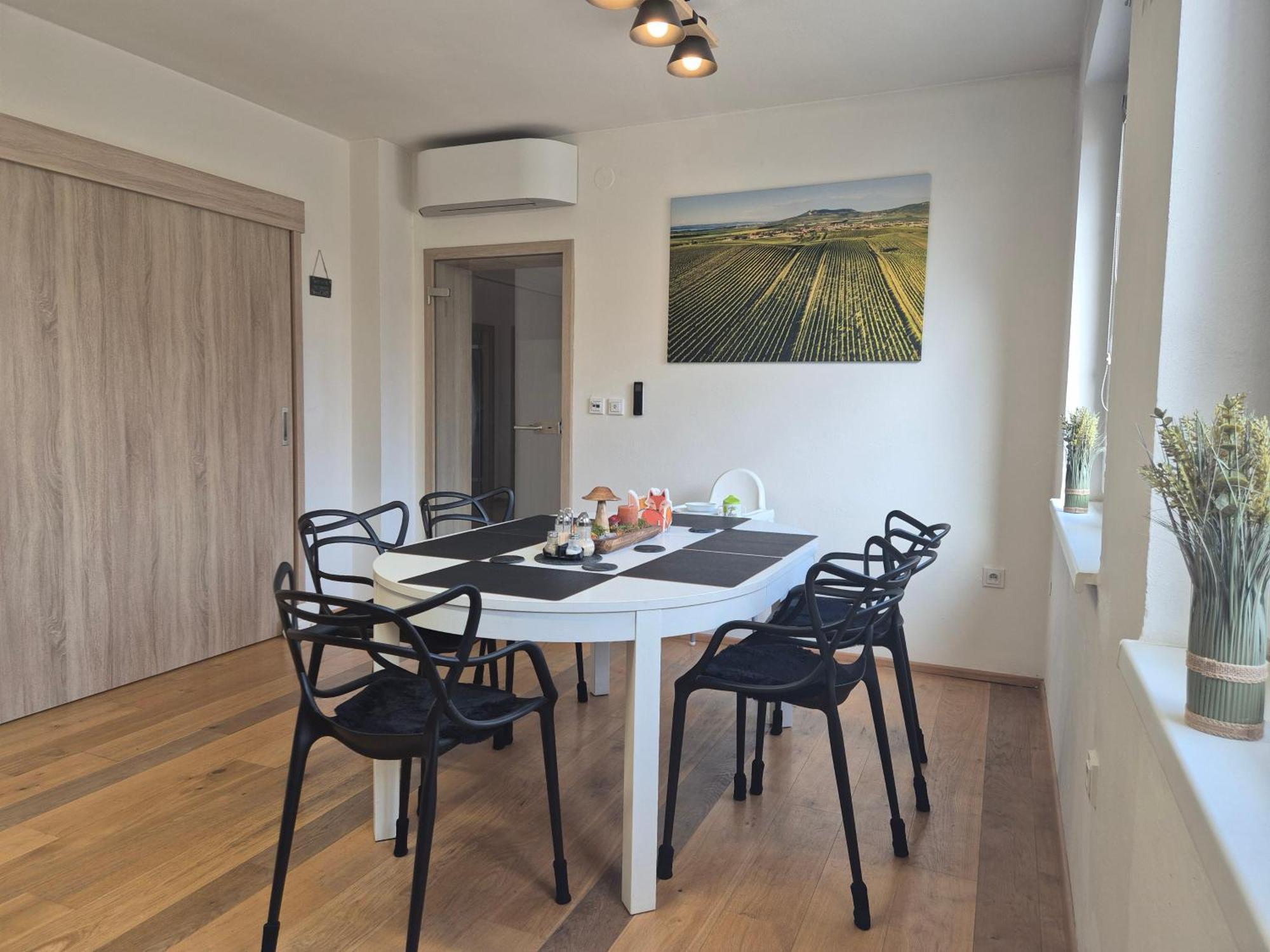Apartman Vital Na Palave - Ubytovani & Zivotni Restart Pasohlávky Kültér fotó