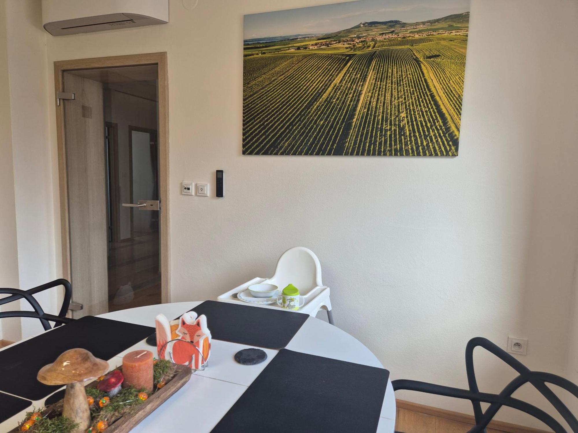 Apartman Vital Na Palave - Ubytovani & Zivotni Restart Pasohlávky Kültér fotó