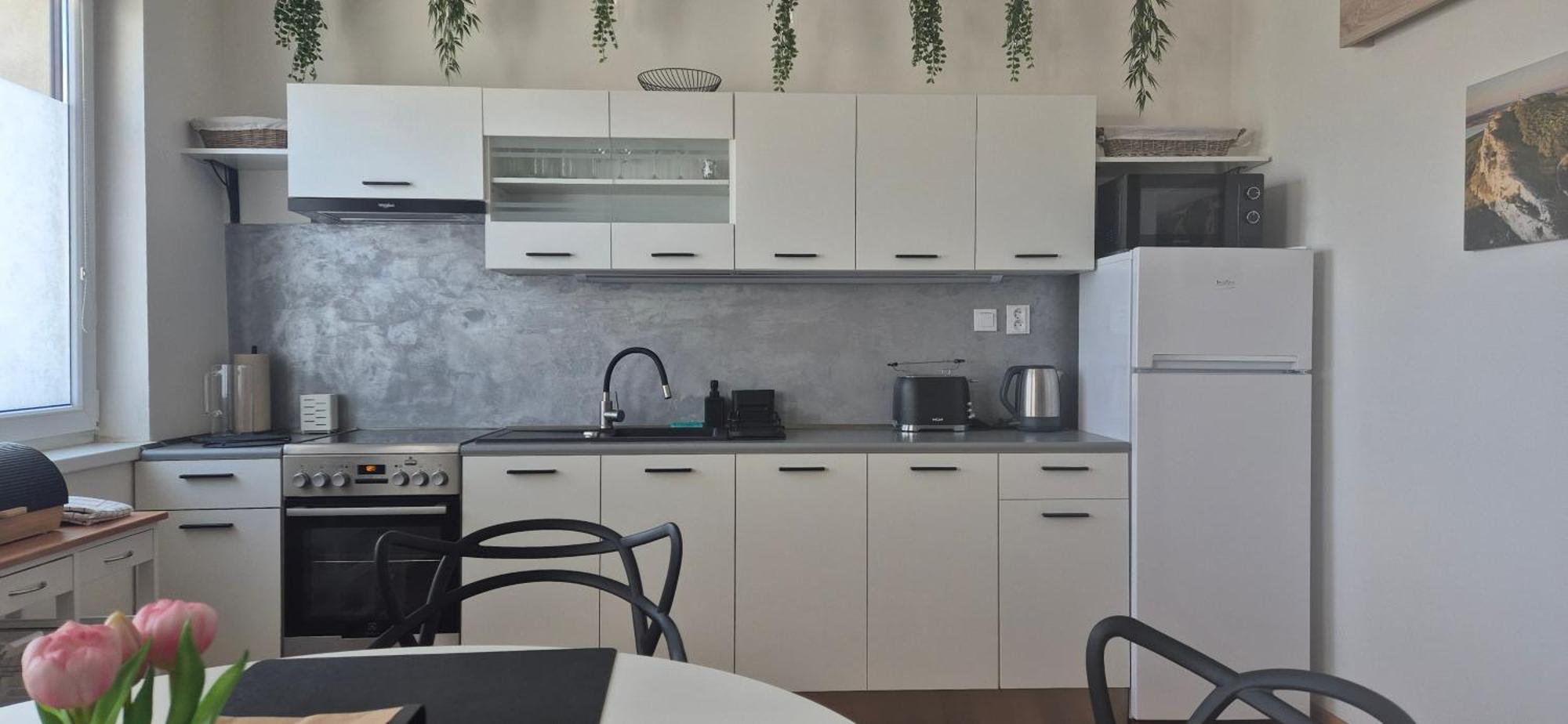Apartman Vital Na Palave - Ubytovani & Zivotni Restart Pasohlávky Kültér fotó