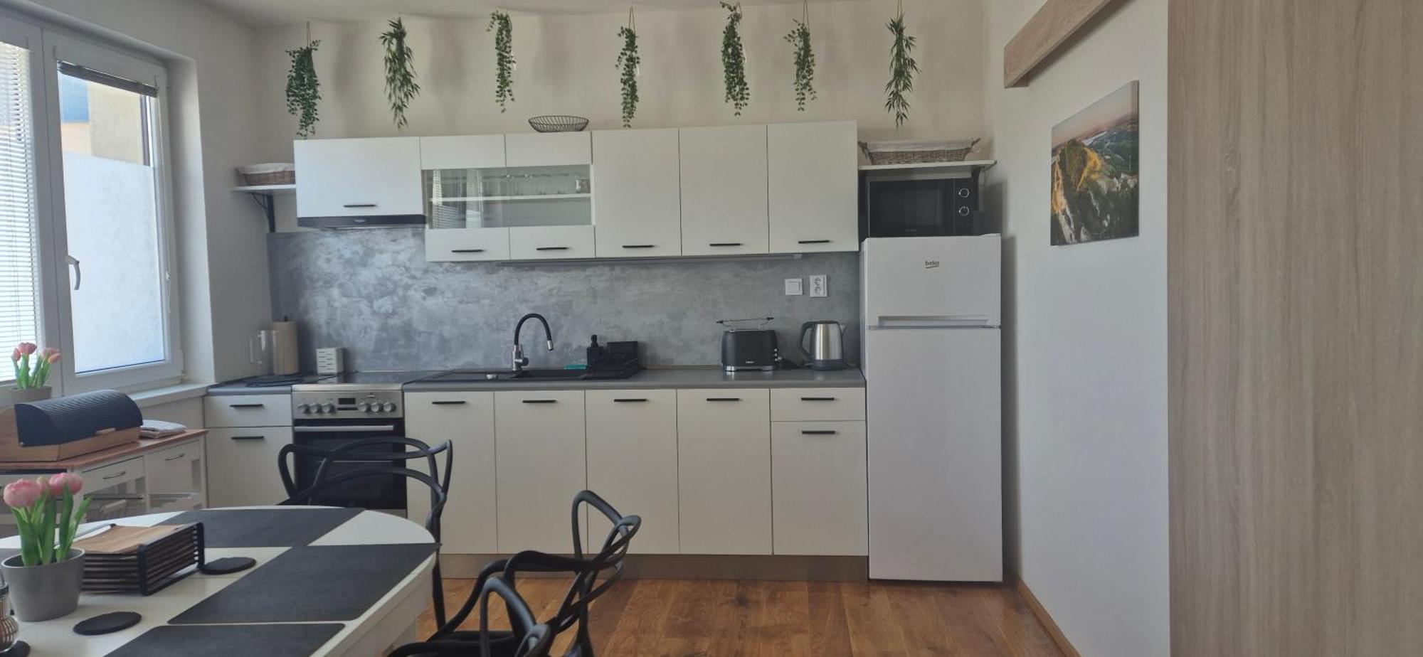 Apartman Vital Na Palave - Ubytovani & Zivotni Restart Pasohlávky Kültér fotó